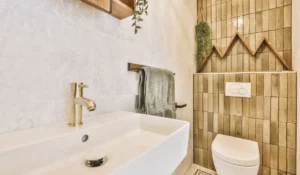 Guest Bathroom Decorations