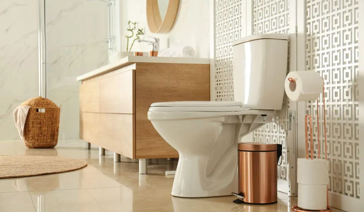 Stylish Toilet in a modern bathroom